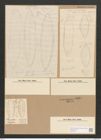 Surirella turgida W. Sm. (de-Toni-Nr.: Genus 53, Species 2237) Zeichnungen Sammlung Grunow Nr. 4665 (NHMW-BOT-W0372731)